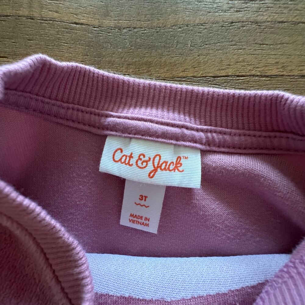 Cat & Jack Toddler Girl Sweatshirt Size 3T Barely Worn - Picture 2 of 5